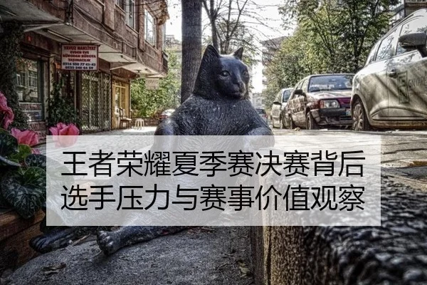 wang-zhe-rong-yao-xia-ji-sai-jue-sai-bei-hou-xuan-shou-ya-li-yu-sai-shi-jia-zhi-guan-cha-2-405.jpg