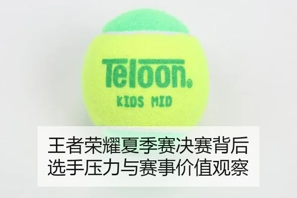 王者荣耀夏季赛决赛背后 选手压力与赛事价值观察 - xingkong